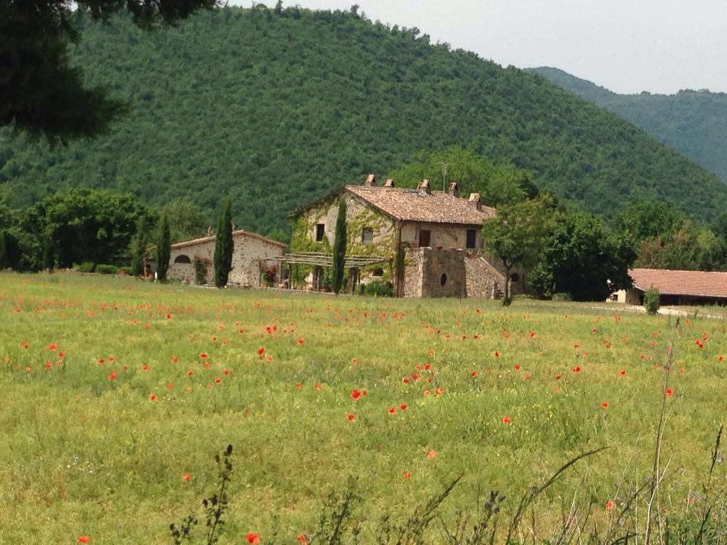 Agriturismo Cardito Santa Rufina Exterior photo