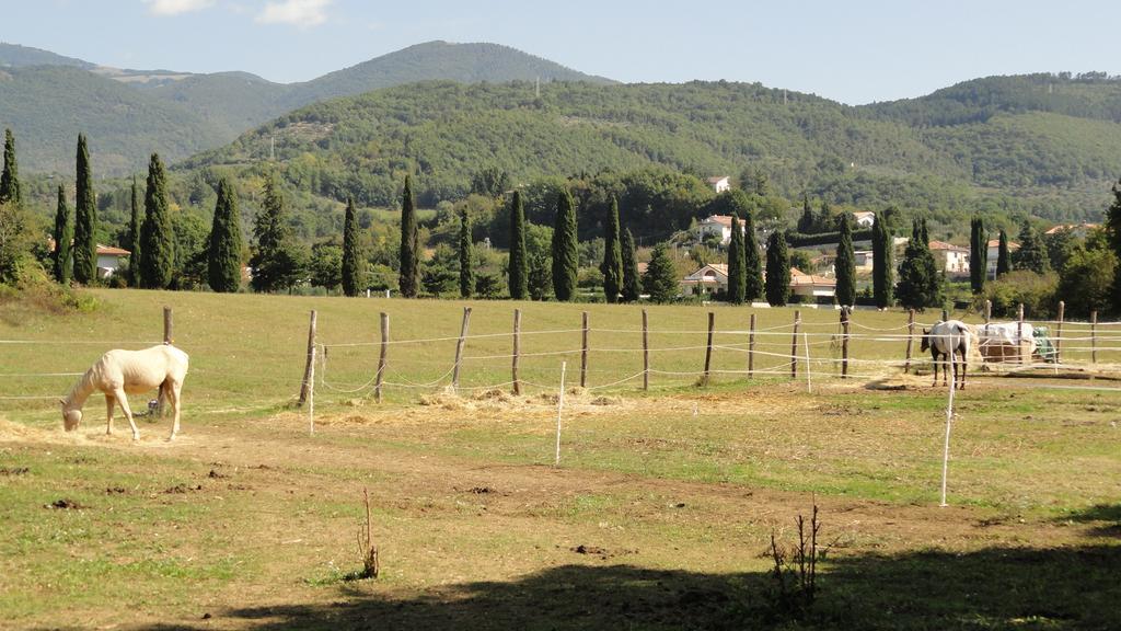Agriturismo Cardito Santa Rufina Exterior photo