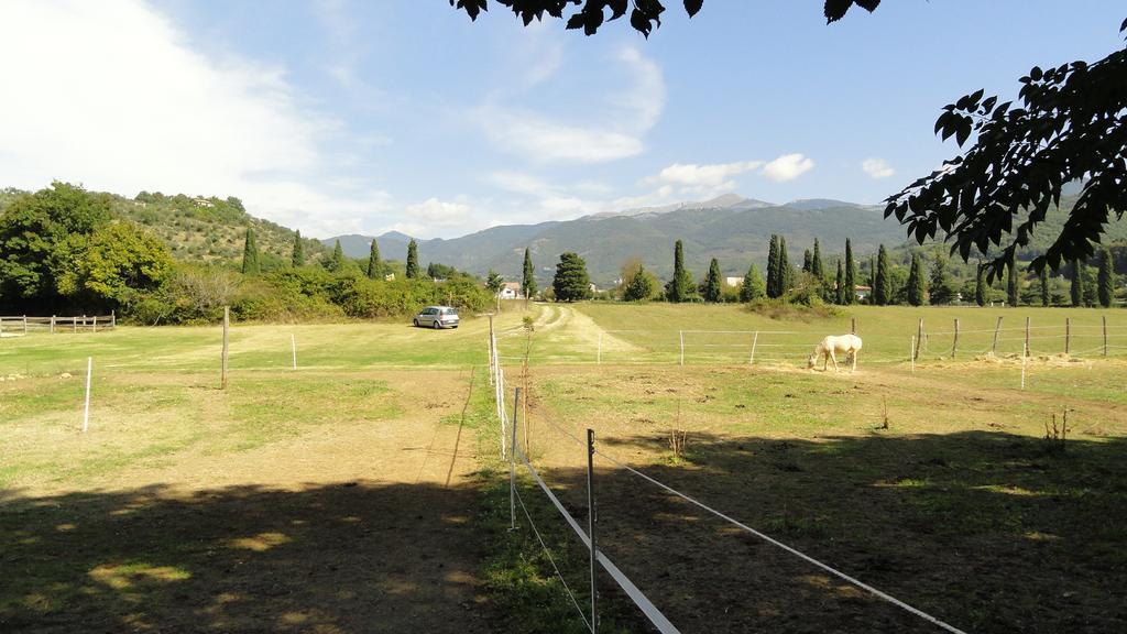 Agriturismo Cardito Santa Rufina Exterior photo