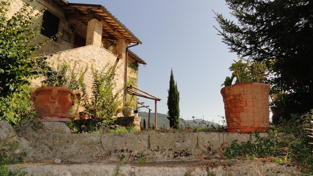 Agriturismo Cardito Santa Rufina Exterior photo